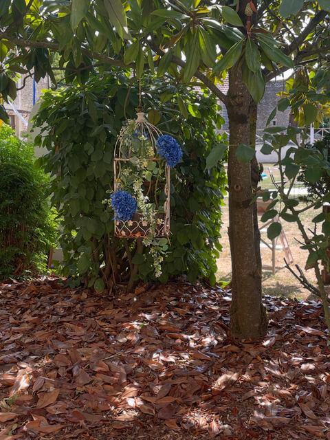 Suspension d'hortensias dans les arbres